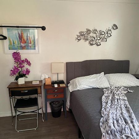 Lovely Studio Apartment With Kitchenette. Тампа Экстерьер фото